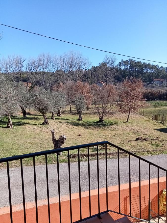 Appartamento Alojamento Local - Casa Amarela Alvaiázere Esterno foto